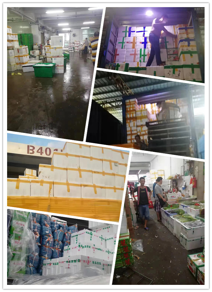 J9旗舰厅(中国区)官方网站