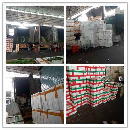 J9旗舰厅(中国区)官方网站