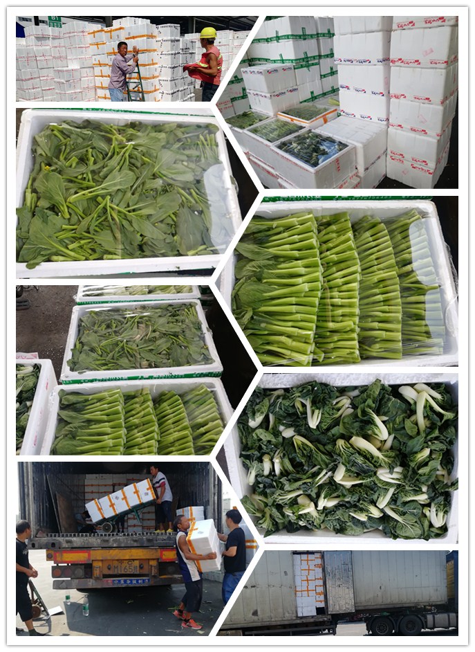 J9旗舰厅(中国区)官方网站