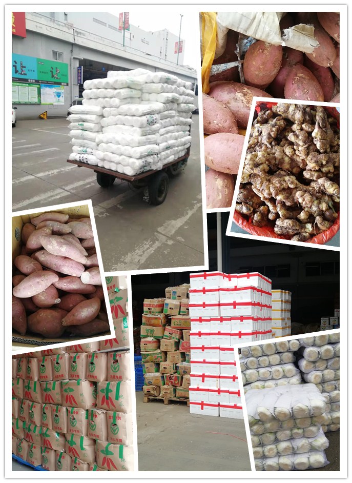 J9旗舰厅(中国区)官方网站