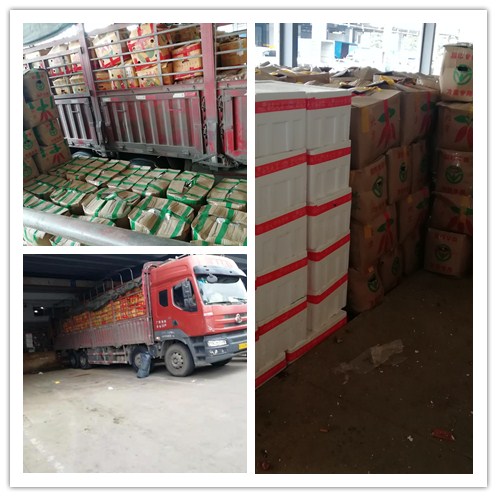 J9旗舰厅(中国区)官方网站