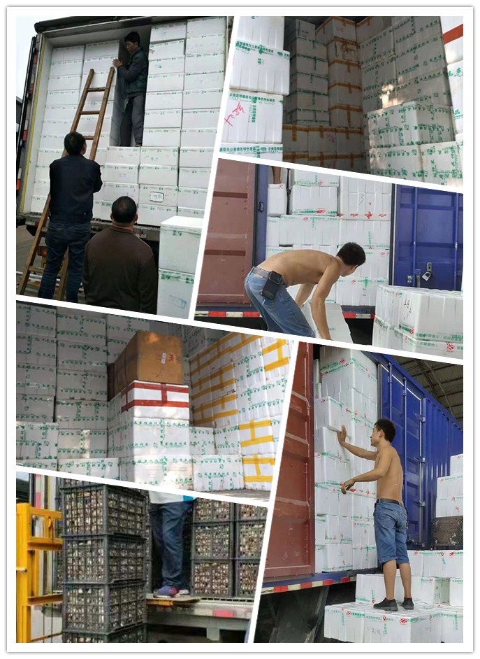 J9旗舰厅(中国区)官方网站