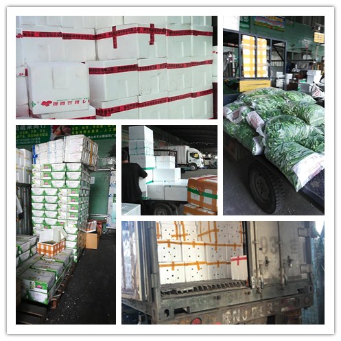 J9旗舰厅(中国区)官方网站