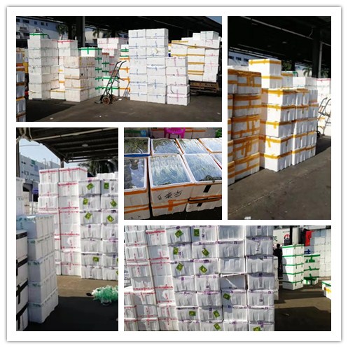 J9旗舰厅(中国区)官方网站