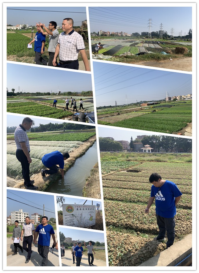 J9旗舰厅(中国区)官方网站