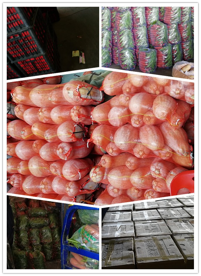 J9旗舰厅(中国区)官方网站