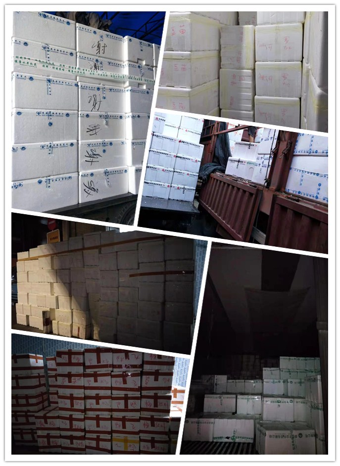 J9旗舰厅(中国区)官方网站