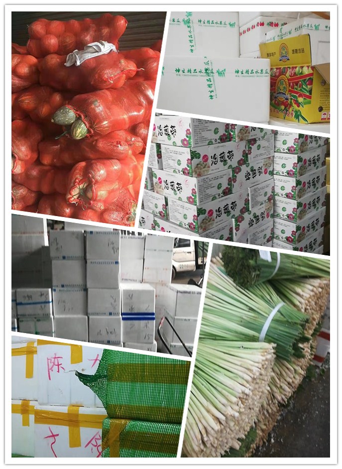 J9旗舰厅(中国区)官方网站