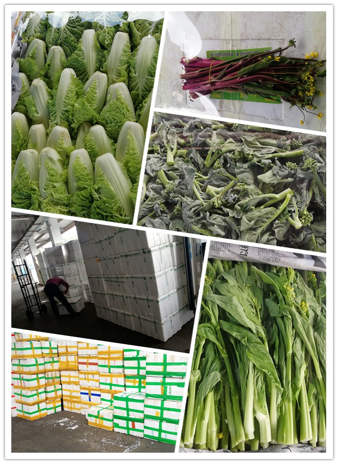 J9旗舰厅(中国区)官方网站