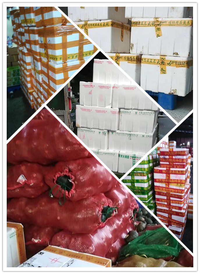 J9旗舰厅(中国区)官方网站