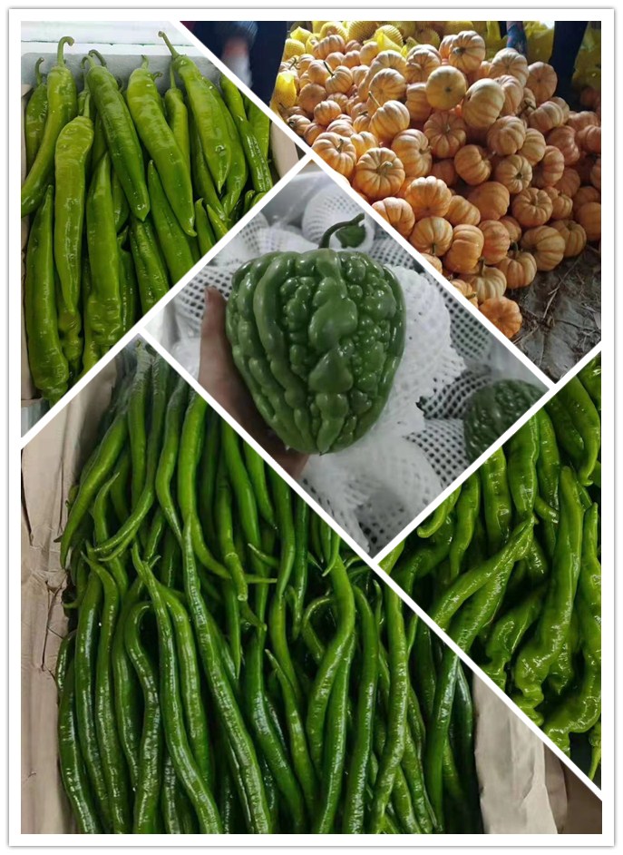 J9旗舰厅(中国区)官方网站