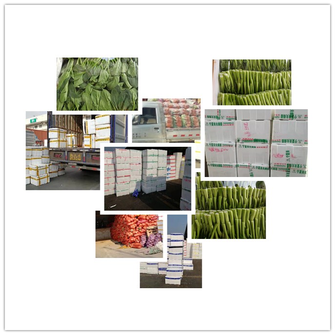 J9旗舰厅(中国区)官方网站