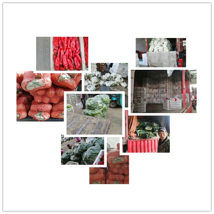 J9旗舰厅(中国区)官方网站