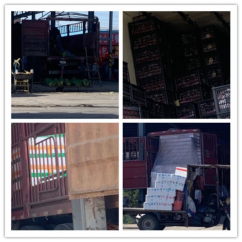 J9旗舰厅(中国区)官方网站