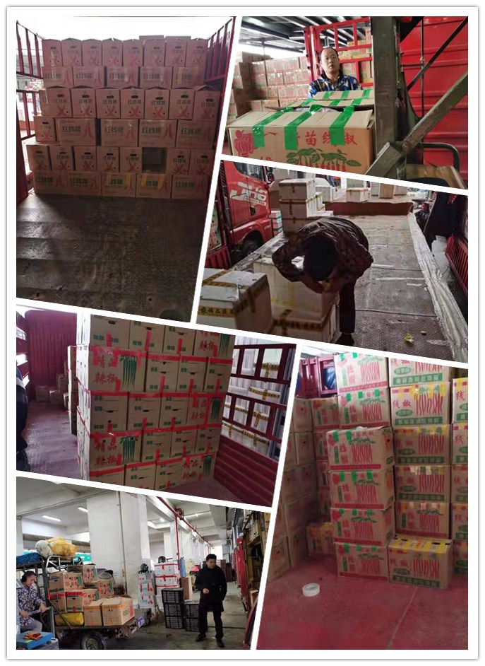 J9旗舰厅(中国区)官方网站