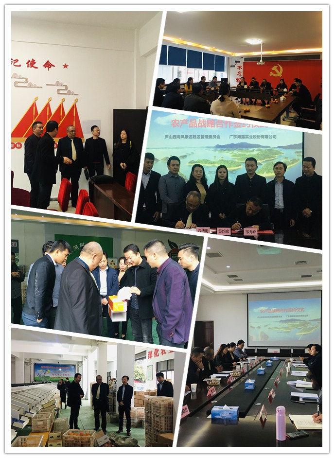 J9旗舰厅(中国区)官方网站