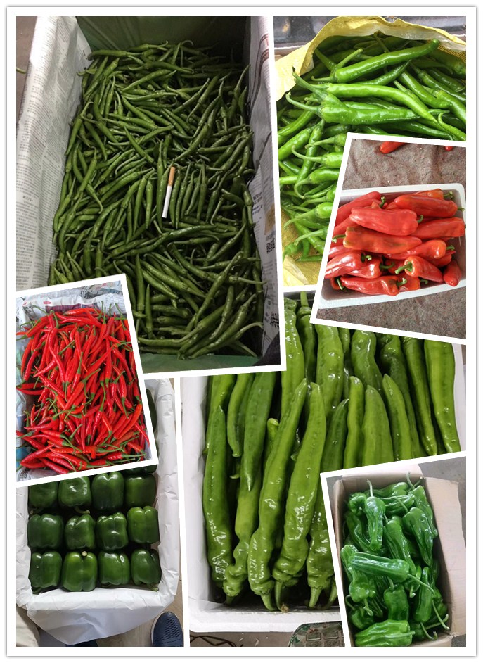 J9旗舰厅(中国区)官方网站