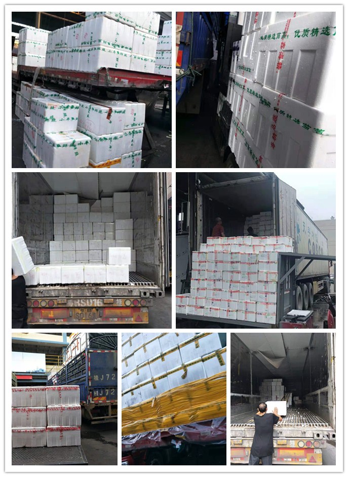 J9旗舰厅(中国区)官方网站