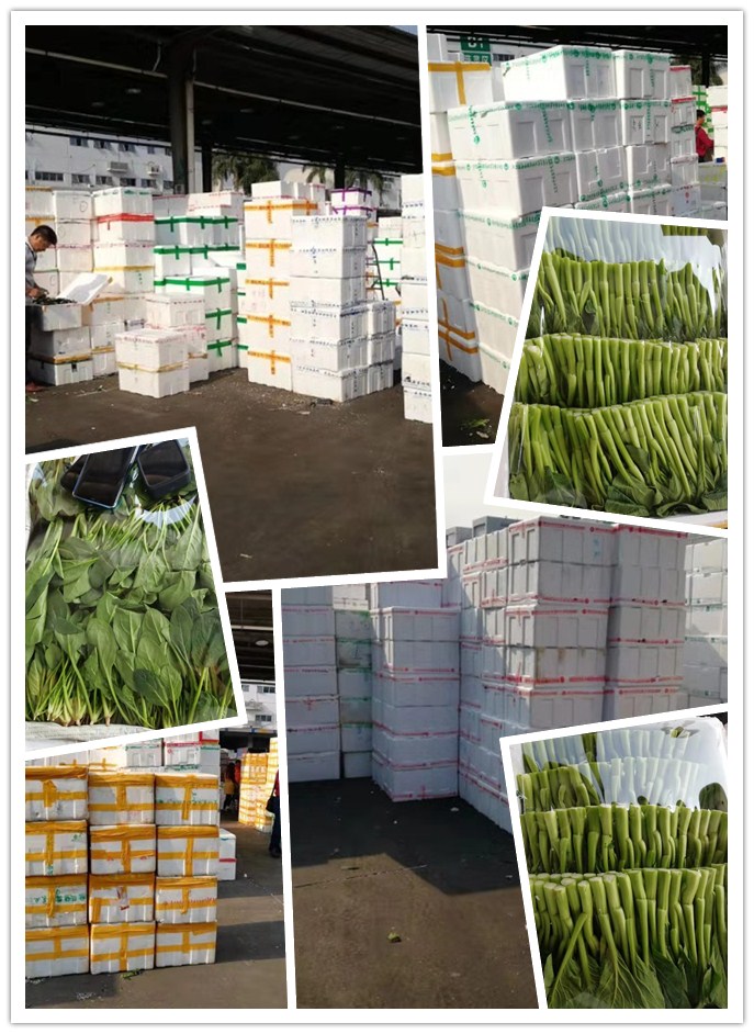 J9旗舰厅(中国区)官方网站