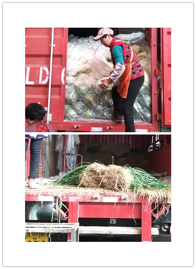 J9旗舰厅(中国区)官方网站