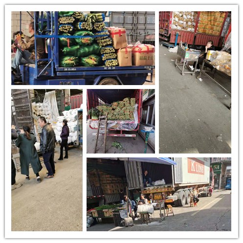 J9旗舰厅(中国区)官方网站