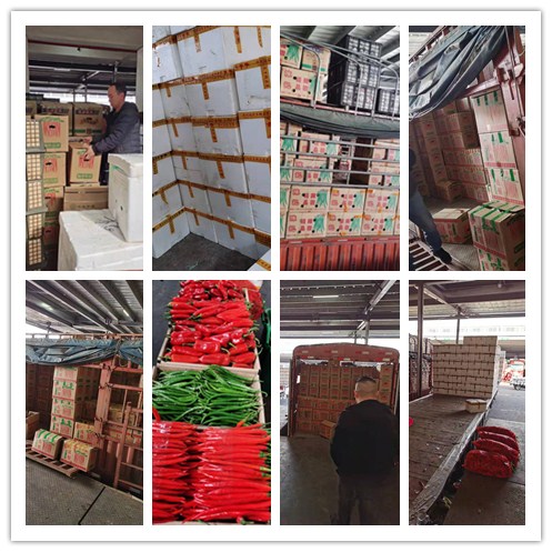 J9旗舰厅(中国区)官方网站