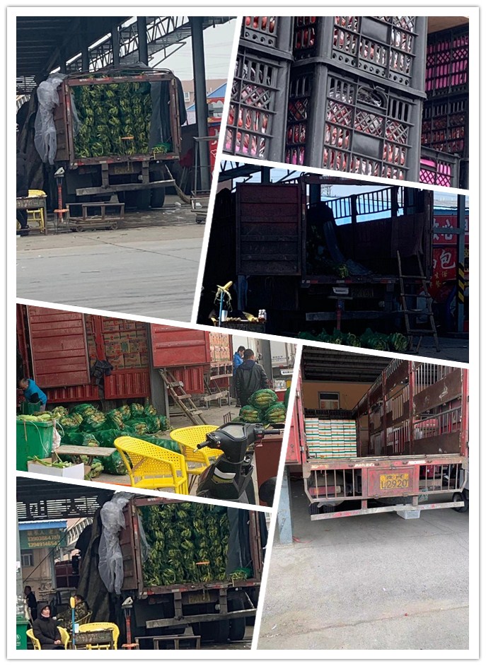 J9旗舰厅(中国区)官方网站