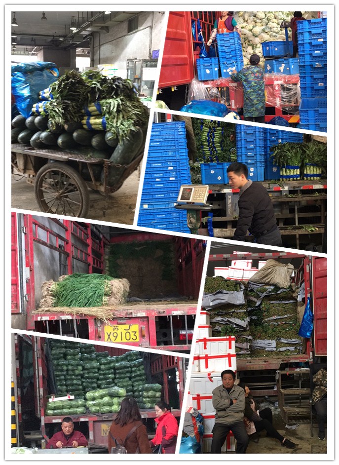 J9旗舰厅(中国区)官方网站