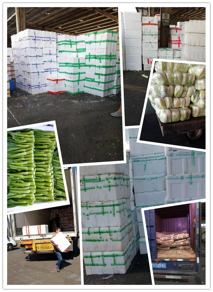 J9旗舰厅(中国区)官方网站