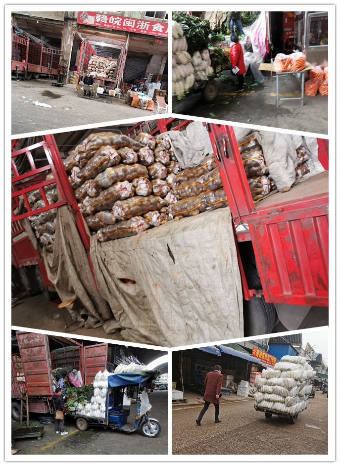 J9旗舰厅(中国区)官方网站