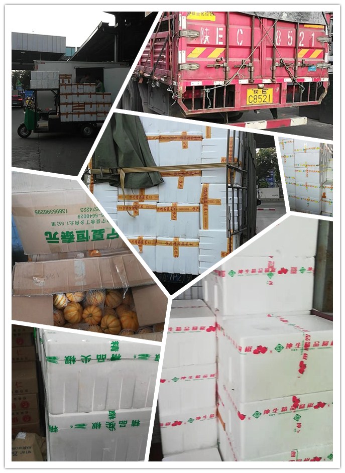 J9旗舰厅(中国区)官方网站