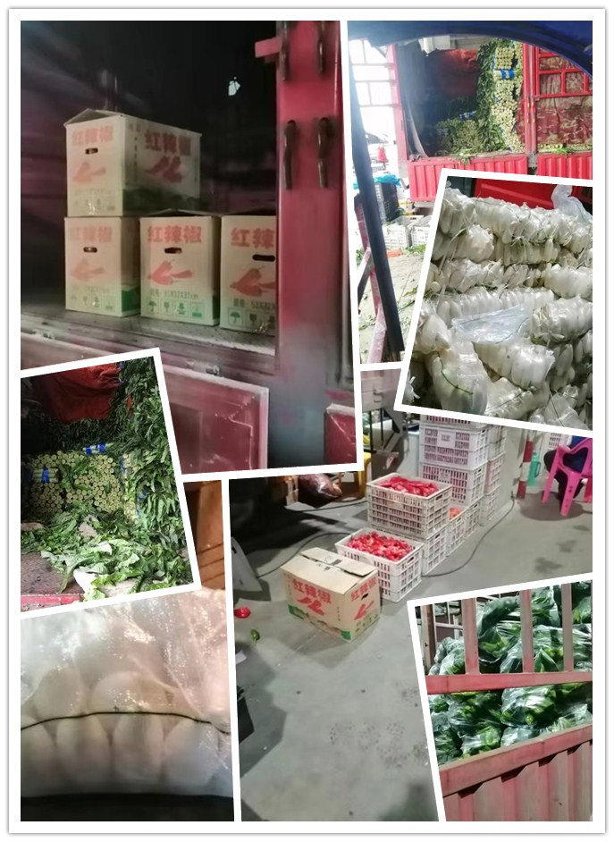 J9旗舰厅(中国区)官方网站