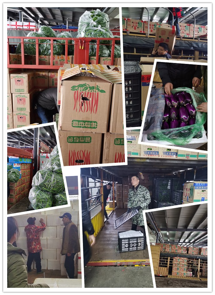 J9旗舰厅(中国区)官方网站