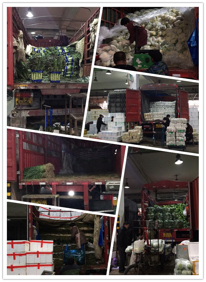 J9旗舰厅(中国区)官方网站