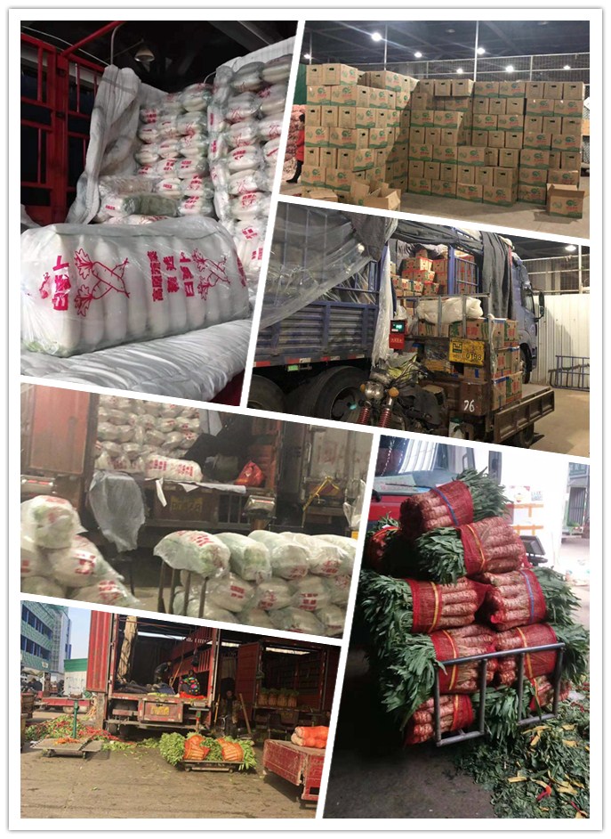 J9旗舰厅(中国区)官方网站