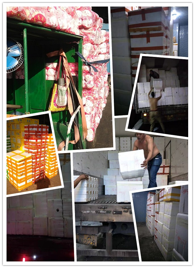 J9旗舰厅(中国区)官方网站