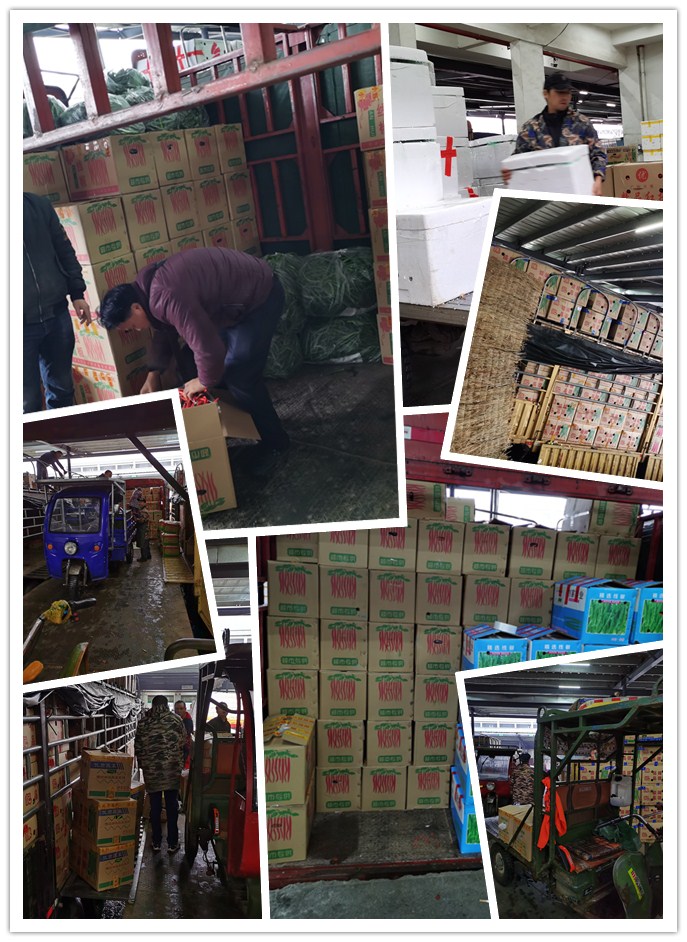 J9旗舰厅(中国区)官方网站