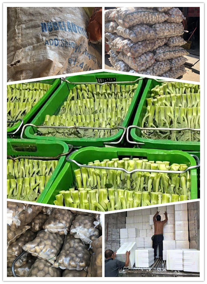 J9旗舰厅(中国区)官方网站