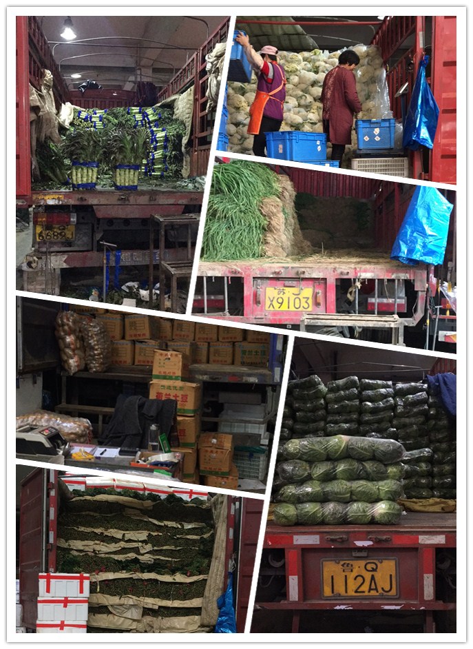 J9旗舰厅(中国区)官方网站