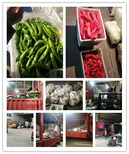 J9旗舰厅(中国区)官方网站