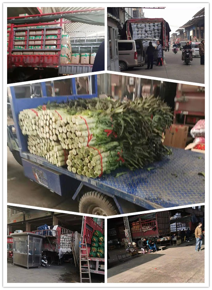 J9旗舰厅(中国区)官方网站