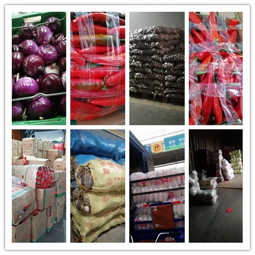 J9旗舰厅(中国区)官方网站