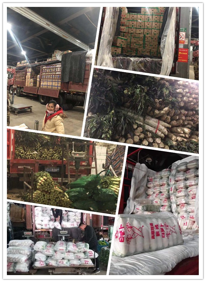 J9旗舰厅(中国区)官方网站