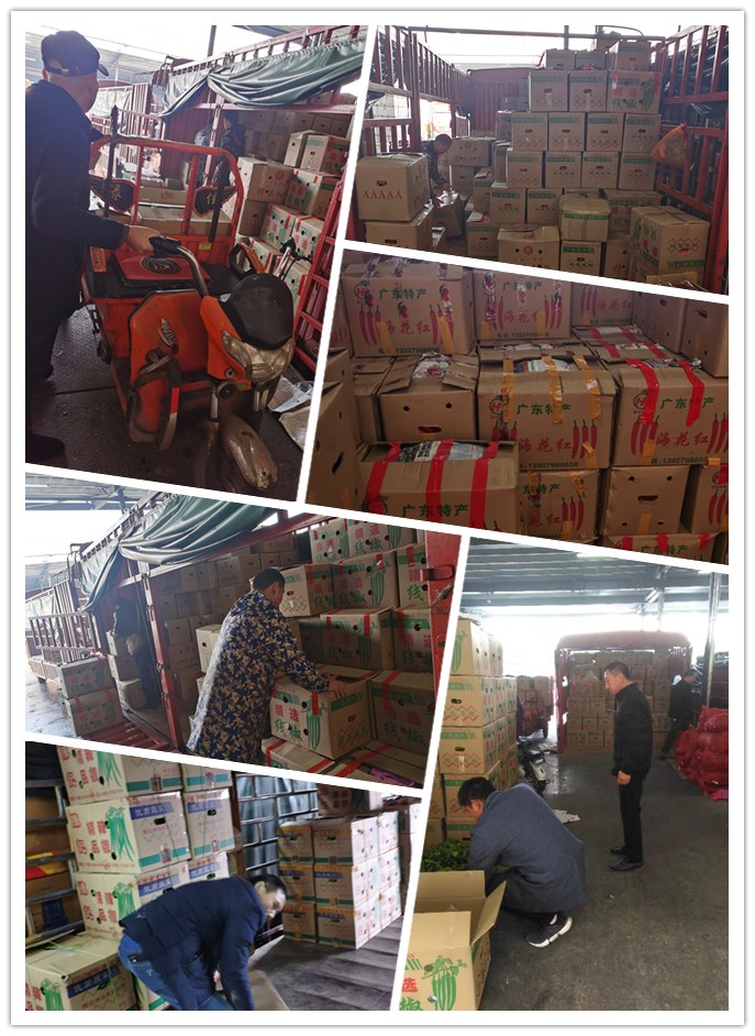 J9旗舰厅(中国区)官方网站