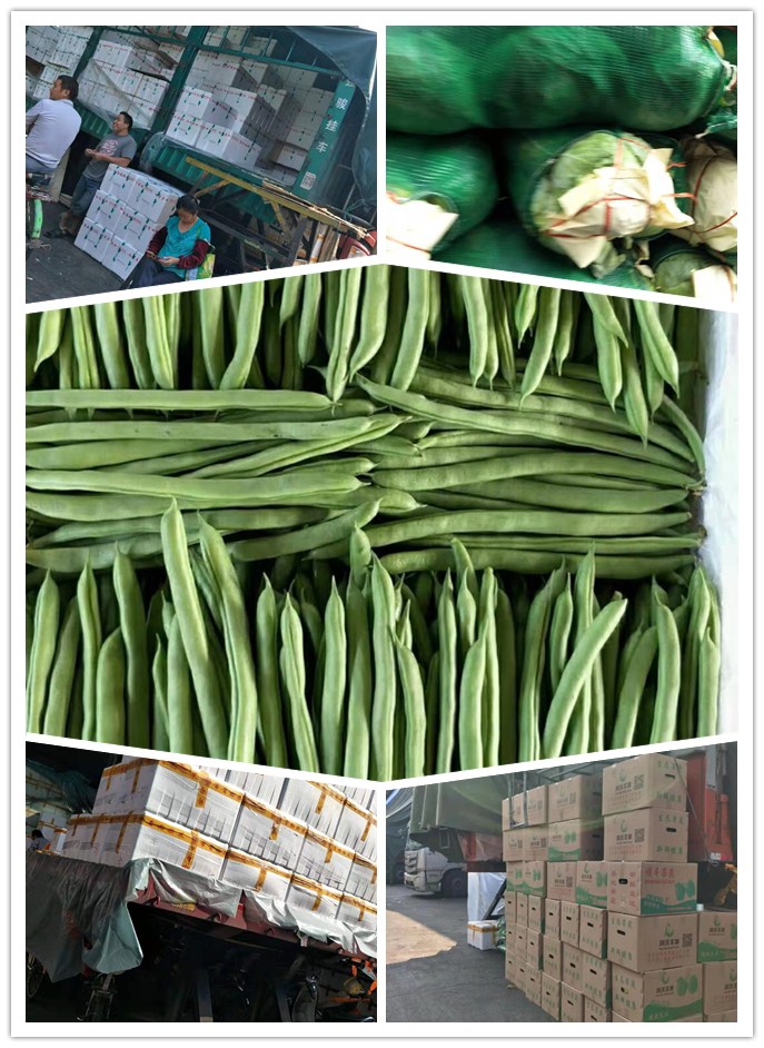 J9旗舰厅(中国区)官方网站