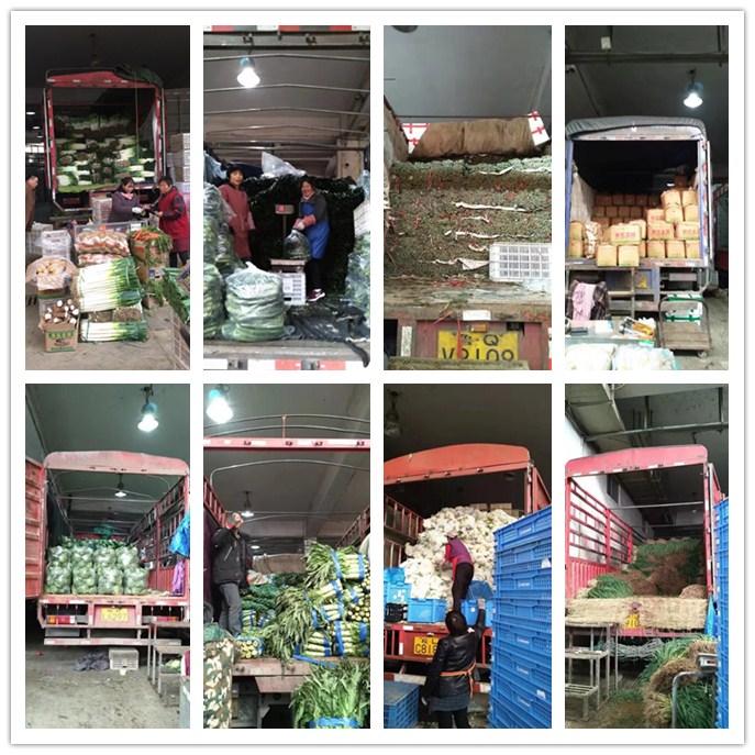 J9旗舰厅(中国区)官方网站