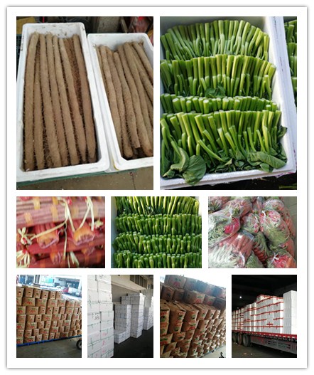 J9旗舰厅(中国区)官方网站