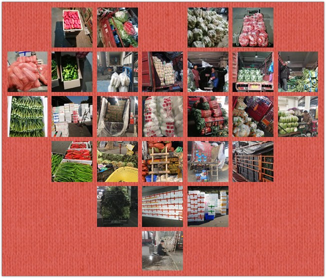 J9旗舰厅(中国区)官方网站