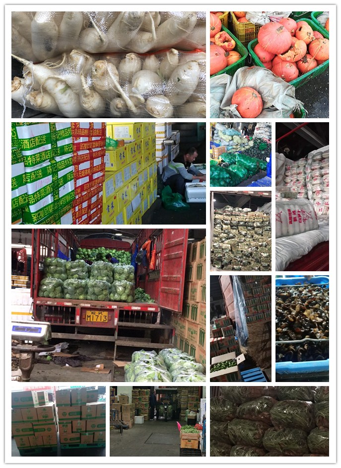 J9旗舰厅(中国区)官方网站