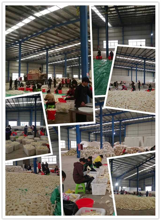 J9旗舰厅(中国区)官方网站